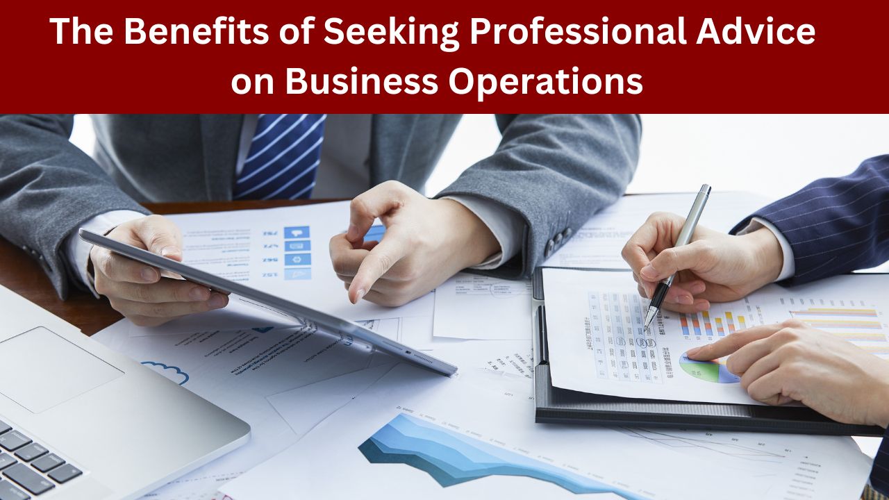 The Benefits of Seeking Professional Advice on Business Operations