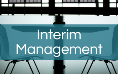 What Is Interim Management – Discover the Secrets of this Unique Business Model